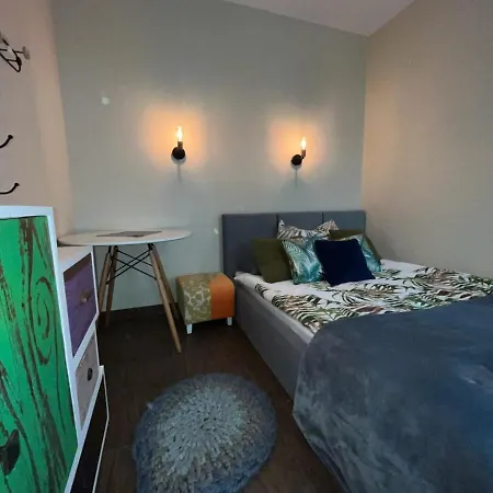 Cozy B6 포비에로보